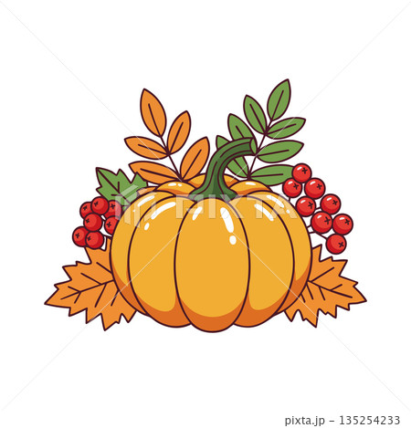 Pumpkin with autumn leaves and red berries colorful fall harvest vector illustration Pumpkin with autumn leaves and red berries colorful fall harvest vector illustration 135254233