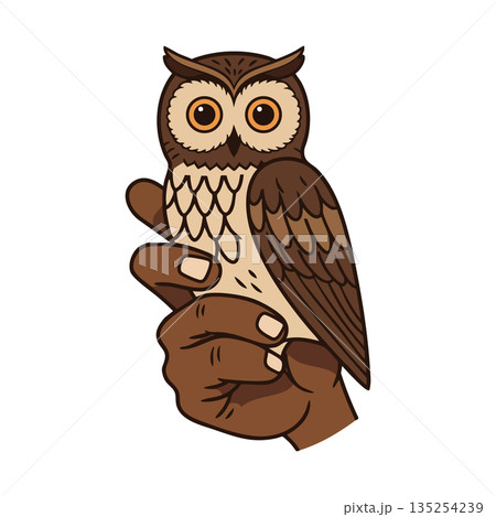 Brown owl perched on hand vector illustration with large eyes and detailed feathers Brown owl perched on hand vector illustration with large eyes and detailed feathers 135254239
