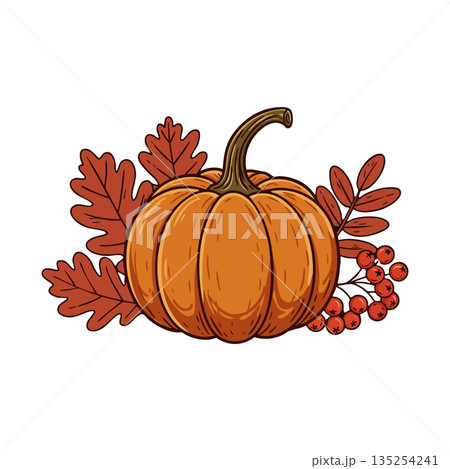 Pumpkin with autumn leaves and berries seasonal fall harvest decoration vector illustration Pumpkin with autumn leaves and berries seasonal fall harvest decoration vector illustration 135254241