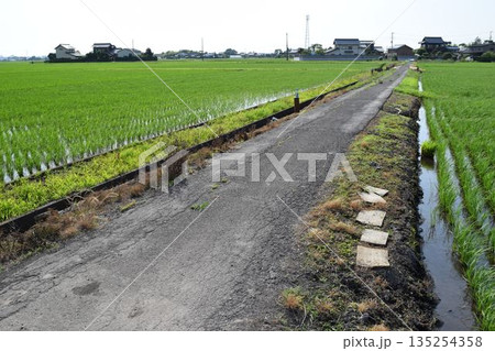 舗装された農道と田園風景 135254358