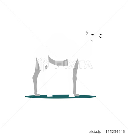 White dog standing simple vector illustration with shadow on teal ground White dog standing simple vector illustration with shadow on teal ground 135254446