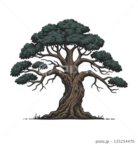 Old large tree with thick trunk and dense foliage vector illustration in natural earthy colors Old large tree with thick trunk and dense foliage vector illustration in natural earthy colors 135254470