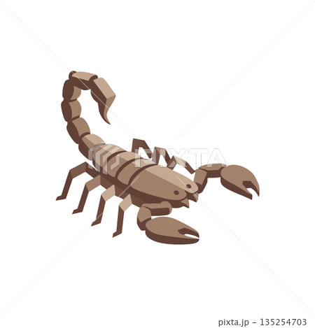 Scorpion close up isolated vector illustration with brown shades natural colors and sharp claws 135254703