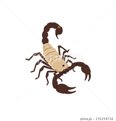 Scorpion vector illustration with beige body and dark brown pincers and tail in simple style 135254718