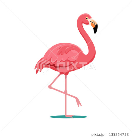 Pink flamingo standing on one leg vector illustration in simple style Pink flamingo standing on one leg vector illustration in simple style 135254738