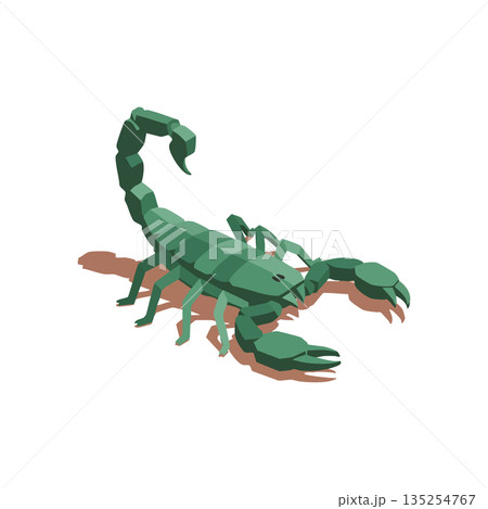 Green scorpion vector illustration with shadow isolated on white background in polygonal style 135254767