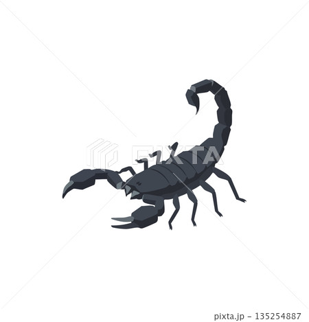 Scorpion vector illustration with segmented tail and pincers in dark color detailed design 135254887