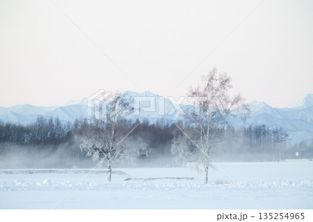 冬の十勝平野 135254965