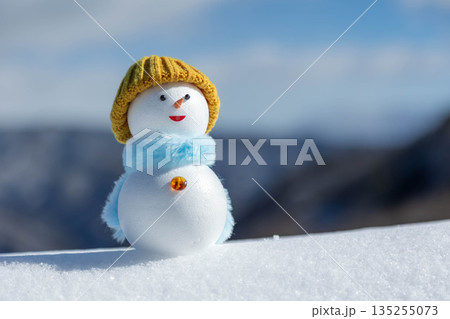 新雪と雪だるま 135255073