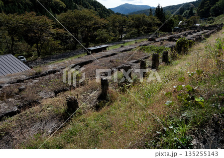 観光施設として生きる群馬鉄山の旧太子駅ホッパー棟 135255143