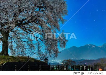 山梨 わに塚のサクラの夜景 山梨 わに塚のサクラの夜景 135255373