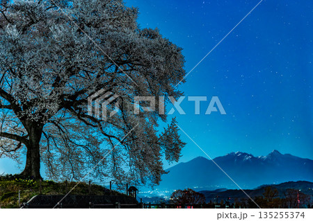 山梨 わに塚のサクラの夜景 135255374