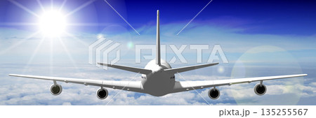 Passenger jet plane flying in the air - 3D illustration 135255567