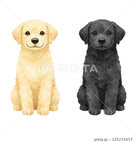 2匹の子犬の水彩風イラスト 2匹の子犬の水彩風イラスト 135255657