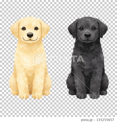 2匹の子犬の水彩風イラスト 2匹の子犬の水彩風イラスト 135255657