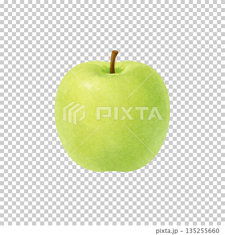 一幅用水彩繪製的青蘋果插圖 135255660