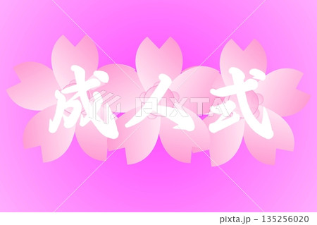 成人式 成人式 135256020