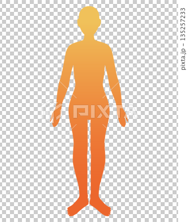 グラデーションの人体イラスト（女性・オレンジ） 135257233