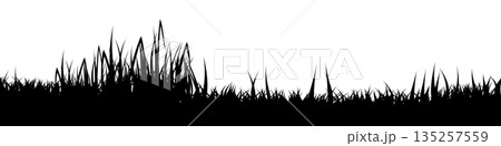 Meadow silhouette with grass, plants on plain. Panoramic summer lawn landscape with herbs, various weeds. Herbal border, frame element. Black horizontal banners. Vector illustration 135257559