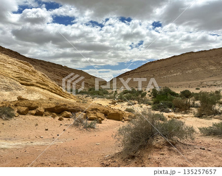 Kholot Tsivoniyim - mountains and dunes of multi-colored sand 135257657