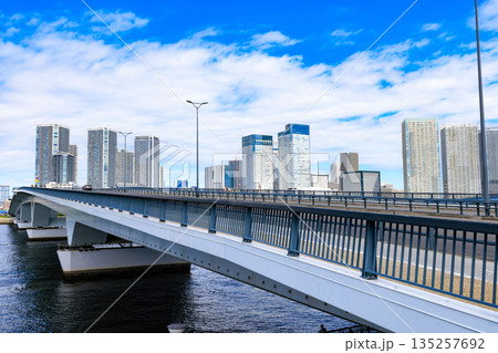 東京　江東区　環二通り沿いの都市風景（豊洲大橋付近） 135257692