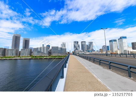 東京 江東区 環二通り沿いの都市風景(豊洲大橋付近) 東京 江東区 環二通り沿いの都市風景(豊洲大橋付近) 135257703