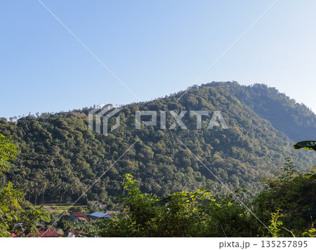 Lush green mountain covered in dense forest under clear blue sky with natural light creating a serene landscape, perfect for tourism and environmental concepts. Lush green mountain covered in dense forest under clear blue sky with natural light creating a serene landscape, perfect for tourism and environmental concepts. 135257895