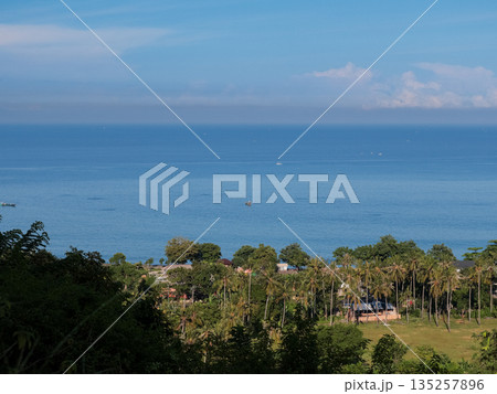 Tropical Ocean View with Lush Greenery and Natural Light, showcasing a serene coastal landscape perfect for travel and vacation photography Tropical Ocean View with Lush Greenery and Natural Light, showcasing a serene coastal landscape perfect for travel and vacation photography 135257896