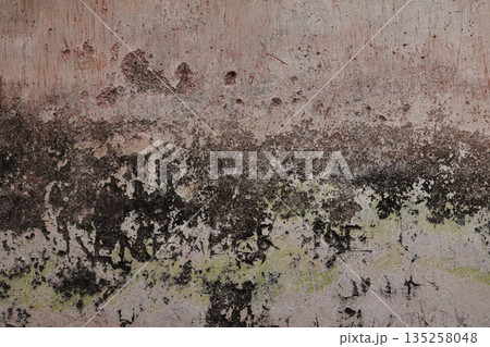 Distressed Wall Texture with Mold Growth and Stains, Ideal for Grunge Style Backgrounds and Creative Design Projects 135258048