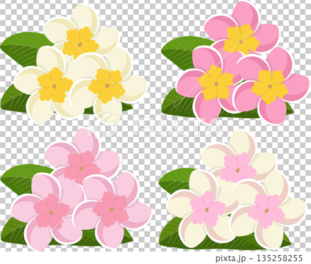 Plumeria set Plumeria set 135258255