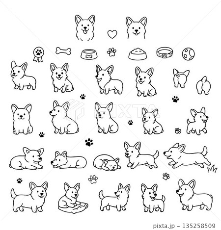 Vector illustration showcasing playful corgi poses and expressions, accompanied by paw prints, bones, and canine accessories. Perfect for pet-themed designs and projects. Vector illustration showcasing playful corgi poses and expressions, accompanied by paw prints, bones, and canine accessories. Perfect for pet-themed designs and projects. 135258509