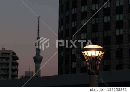 スカイツリーのある風景 スカイツリーのある風景 135258873