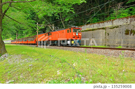 黒部渓谷トロッコ電車 黒部渓谷トロッコ電車 135259008