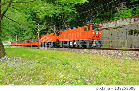黒部渓谷トロッコ電車 135259009