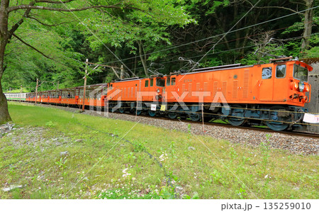 黒部渓谷トロッコ電車 135259010