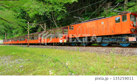 黒部渓谷トロッコ電車 135259011