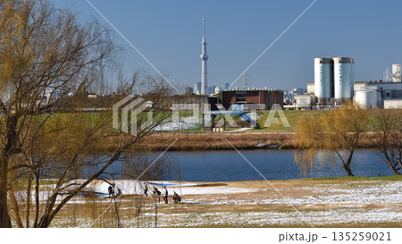 江戸川堤、東京スカイツリー遠景 135259021