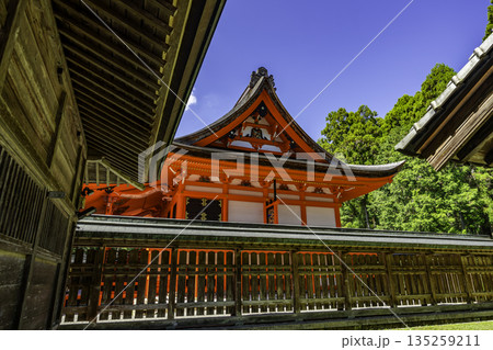土佐神社　本殿　高知県高知市 135259211