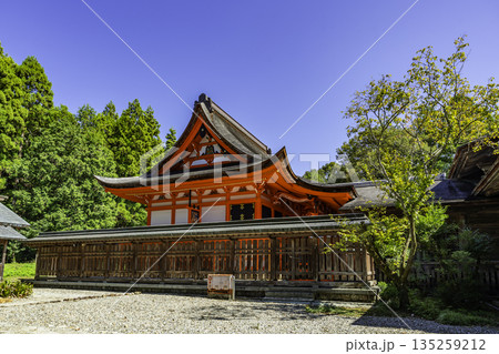土佐神社 本殿 高知県高知市 土佐神社 本殿 高知県高知市 135259212