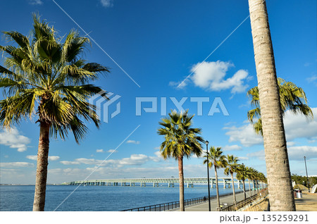 りんくう公園(マーブルビーチ)　【大阪府泉佐野市】 135259291