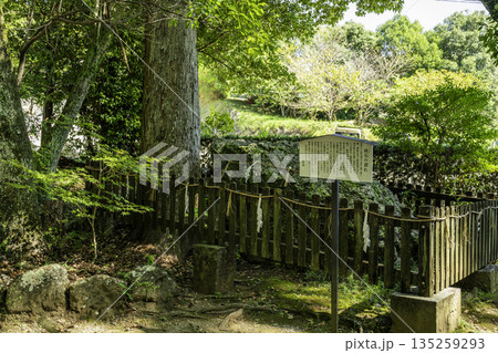 土佐神社　礫石　つぶて石　高知県高知市 135259293