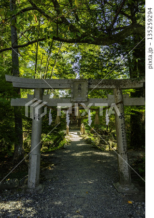 土佐神社　厳島神社　高知県高知市 135259294