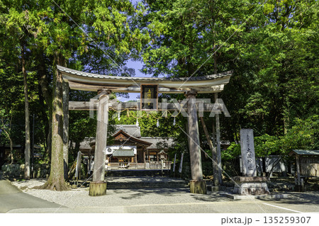 土佐神社 鳥居 高知県高知市 土佐神社 鳥居 高知県高知市 135259307