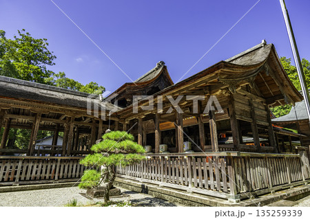 土佐神社 幣殿 高知県高知市 土佐神社 幣殿 高知県高知市 135259339