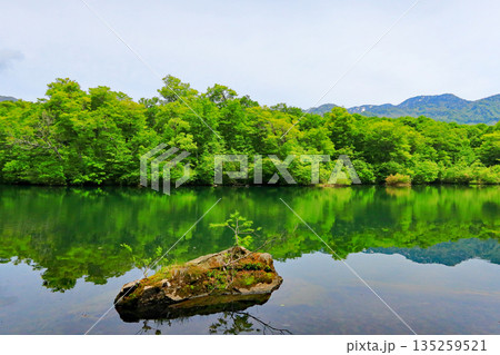 小谷村 鎌池 小谷村 鎌池 135259521