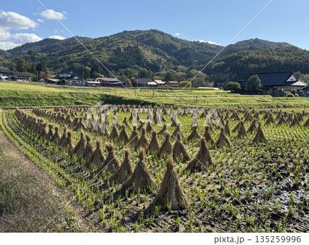 遠野 土淵山口集落の田園風景 遠野 土淵山口集落の田園風景 135259996
