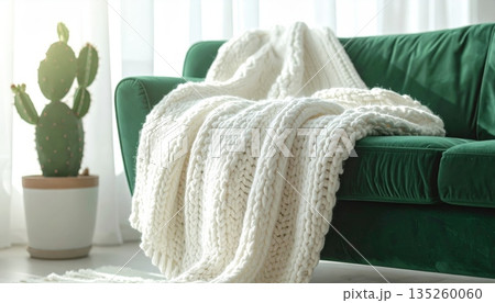 Cozy Minimal Living Room with Knitted Wool Blanket on Sofa, White Window and Sheer Curtains, Decorated with Diamond-Shaped Planter Cozy Minimal Living Room with Knitted Wool Blanket on Sofa, White Window and Sheer Curtains, Decorated with Diamond-Shaped Planter 135260060