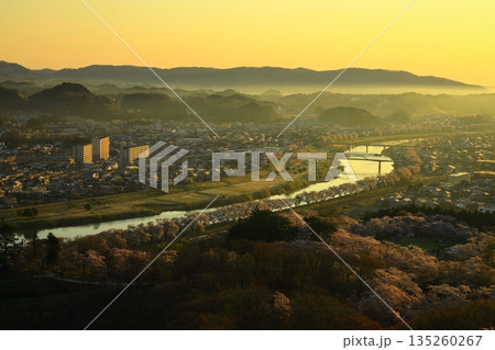 朝日に染まる街と満開の桜 朝日に染まる街と満開の桜 135260267
