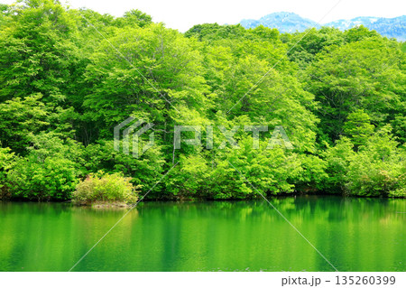 小谷村　鎌池 135260399