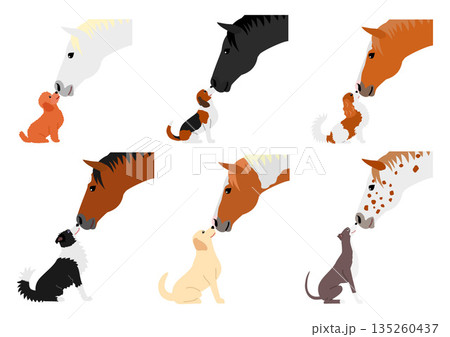 鼻キスする犬と馬のセット 鼻キスする犬と馬のセット 135260437